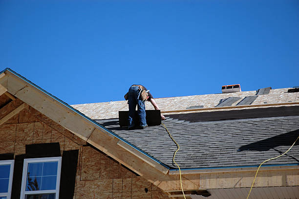 Best Roof Gutter Cleaning  in Farmville, NC