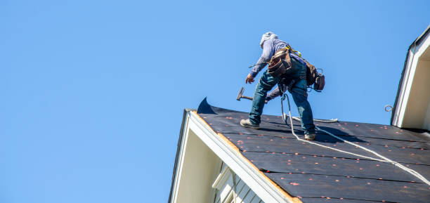 Best Metal Roofing Contractor  in Farmville, NC